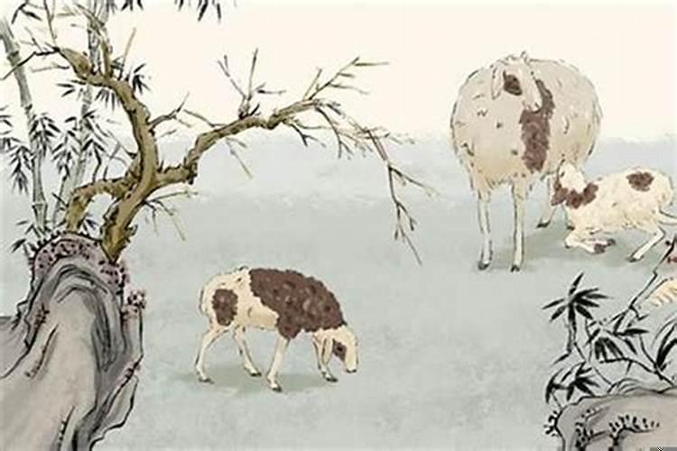 属羊人和属鼠人的婚姻