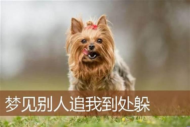 女人梦到自己在开车,后面有车在追