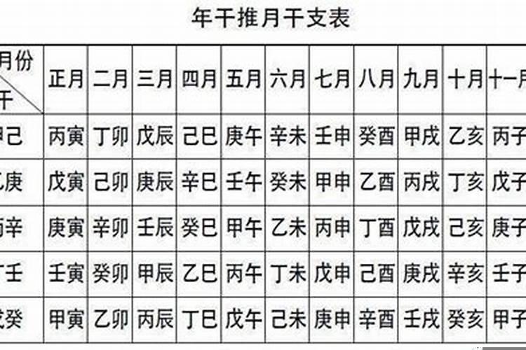 己亥日柱丙寅时柱