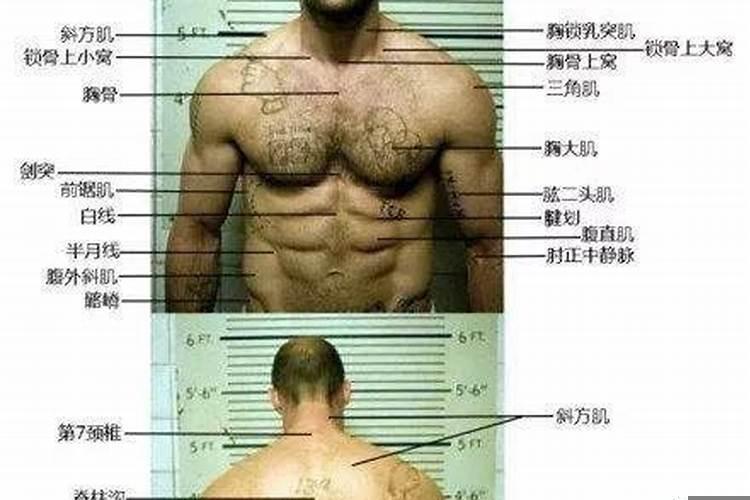 什么是八字命理学