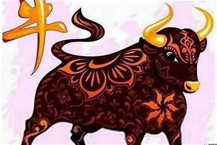 属牛的和属狗的婚配吗