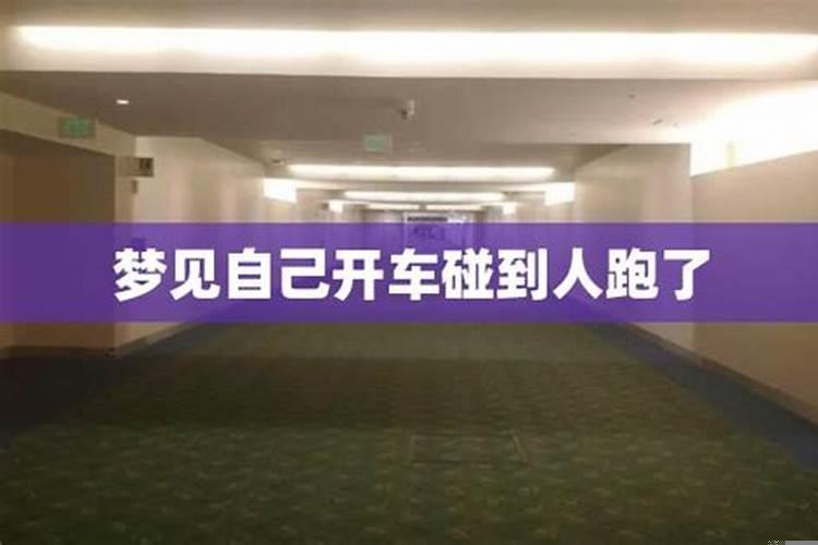 女人梦到自己在开车,后面有车在追