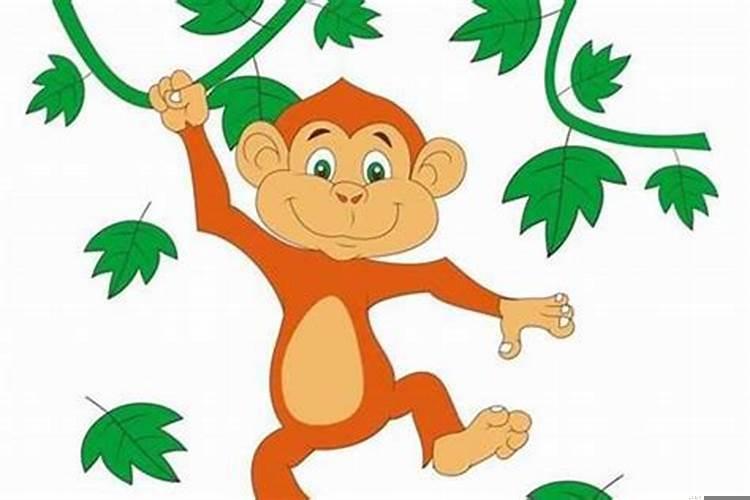 属猴的那年不好