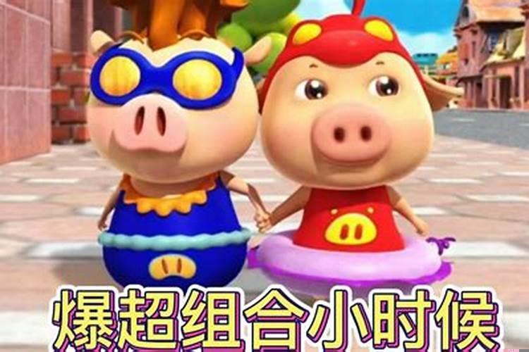 猪猪最喜欢的人是谁