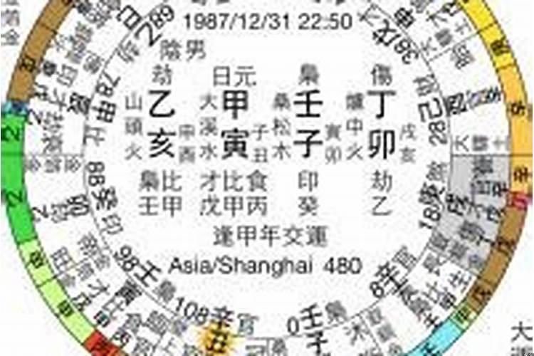 己亥日柱丙寅时柱