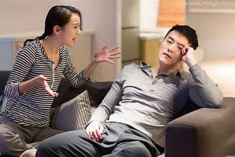 爱做梦的十二生肖