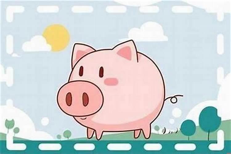 属猪的本命年是哪一年?