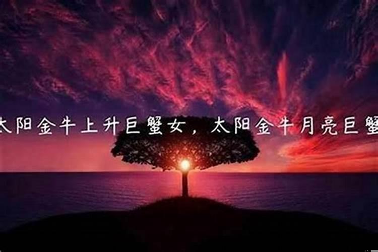 倒追狮子男有可能吗女生