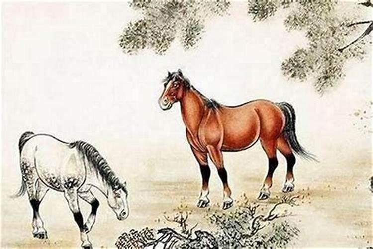 羊和马相配吗婚姻