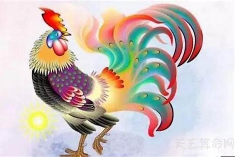 属鸡的什么时候本命年