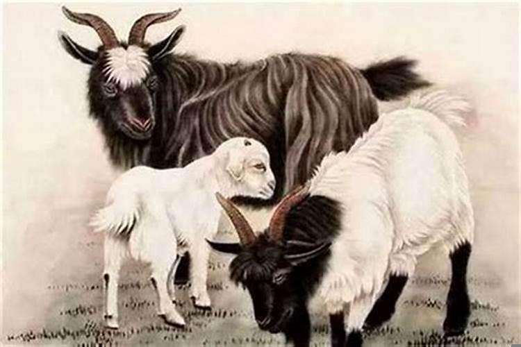羊和马相配吗婚姻