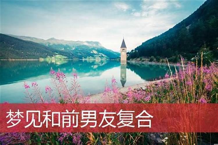 做梦梦见老鼠成群