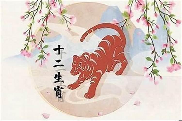 属虎的什么季节出生最好