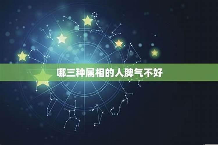 哪个生肖脾气最暴躁