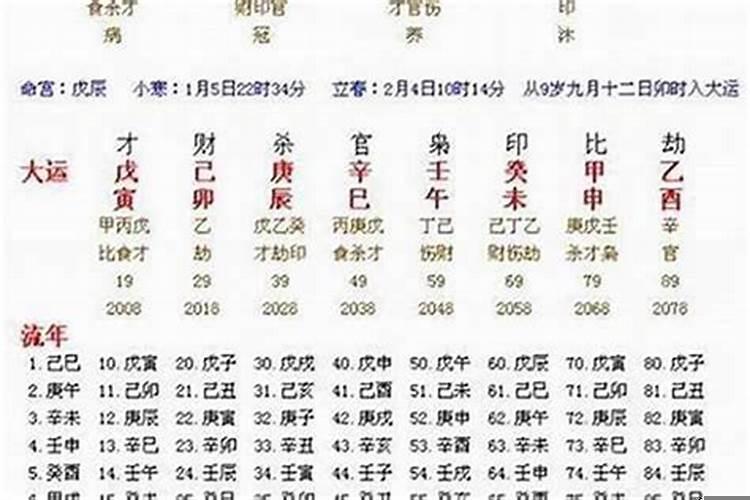 丙子日柱命运