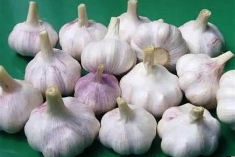 梦见大蒜蒜苗蒜头什么意思