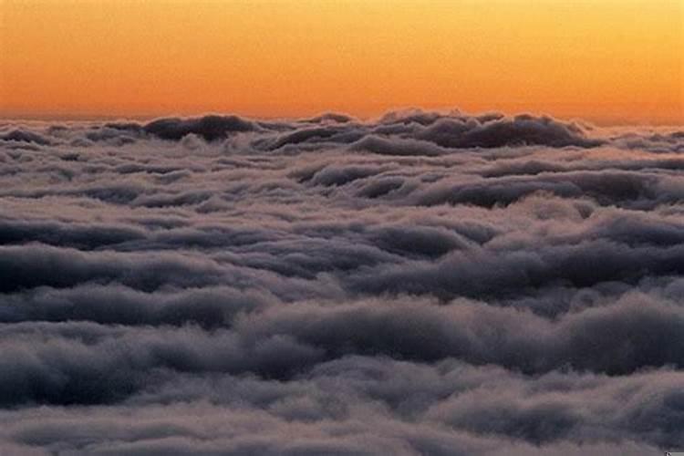 属狗几月结婚好