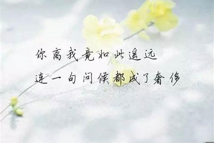 想念很久的人,真的会入梦吗知乎