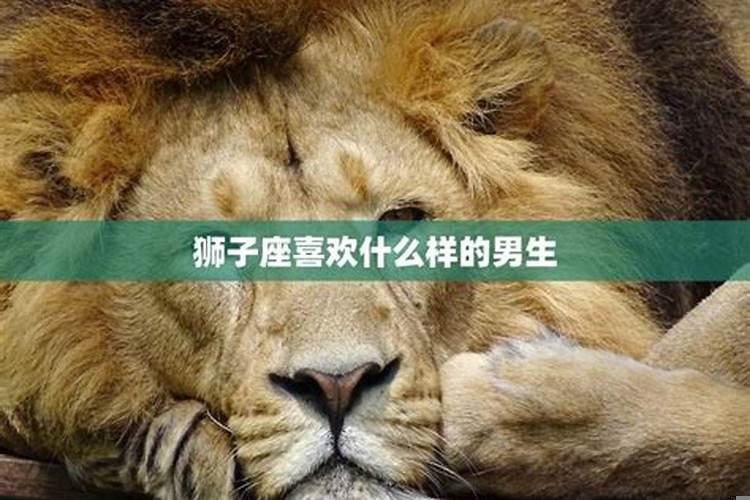 属猪狮子座女生喜欢什么样男生