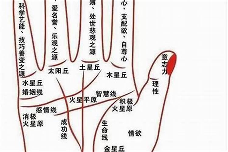 手指有指缝是不是漏财