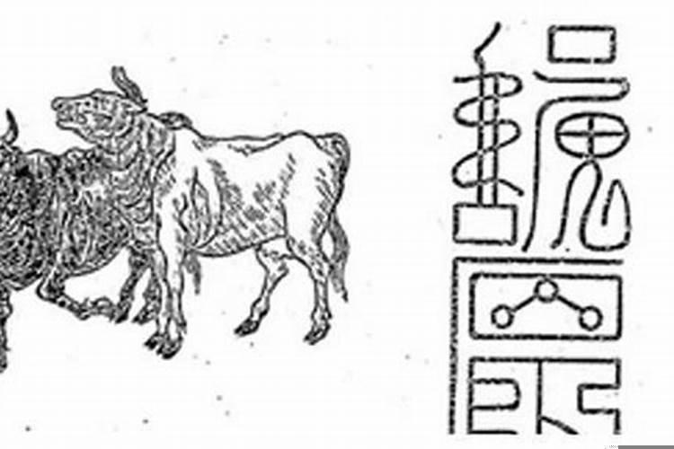 属牛人财运在哪方