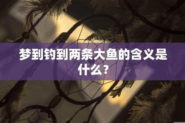 做梦梦见钓到一条鱼