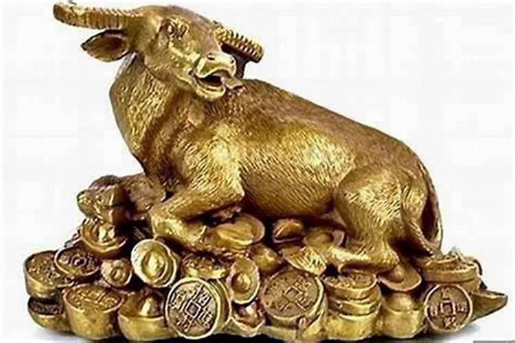 属牛的家中摆什么旺财