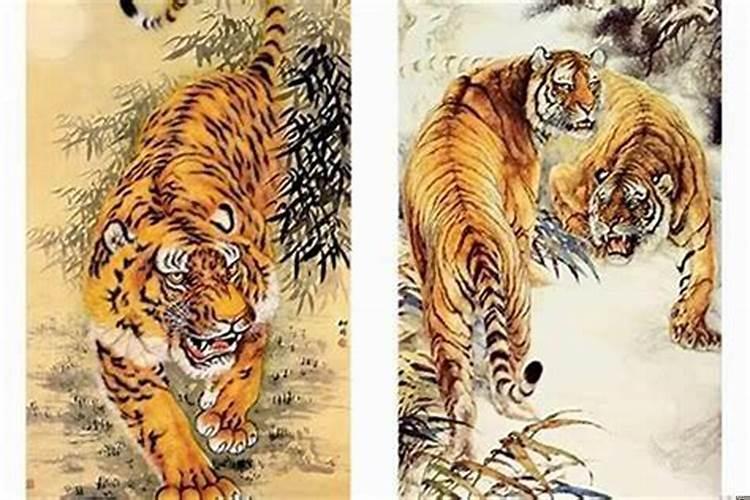 上山虎与下山虎的含义