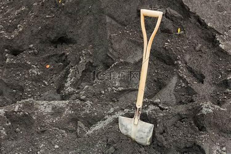 梦见自己在铲沙