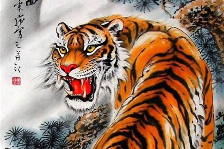 上山虎与下山虎的含义