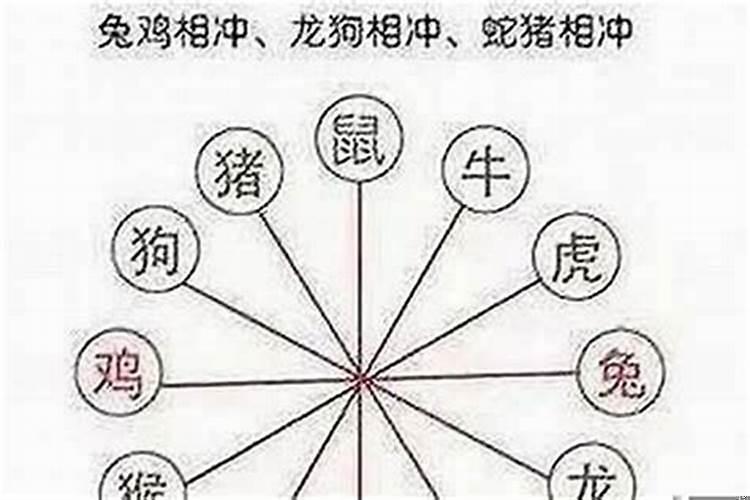 十二生肖猴子跟什么生肖相冲相克
