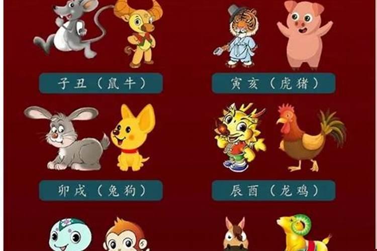 各个生肖的桃花劫