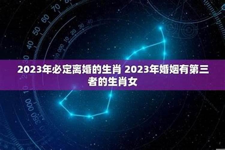 2022年最容易离婚的生肖