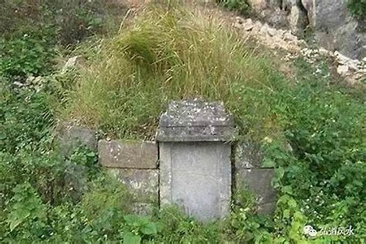 新坟墓上长了竹根好不好